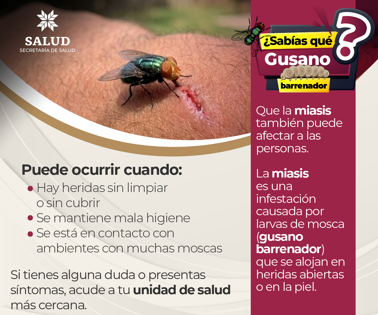 Publicidad