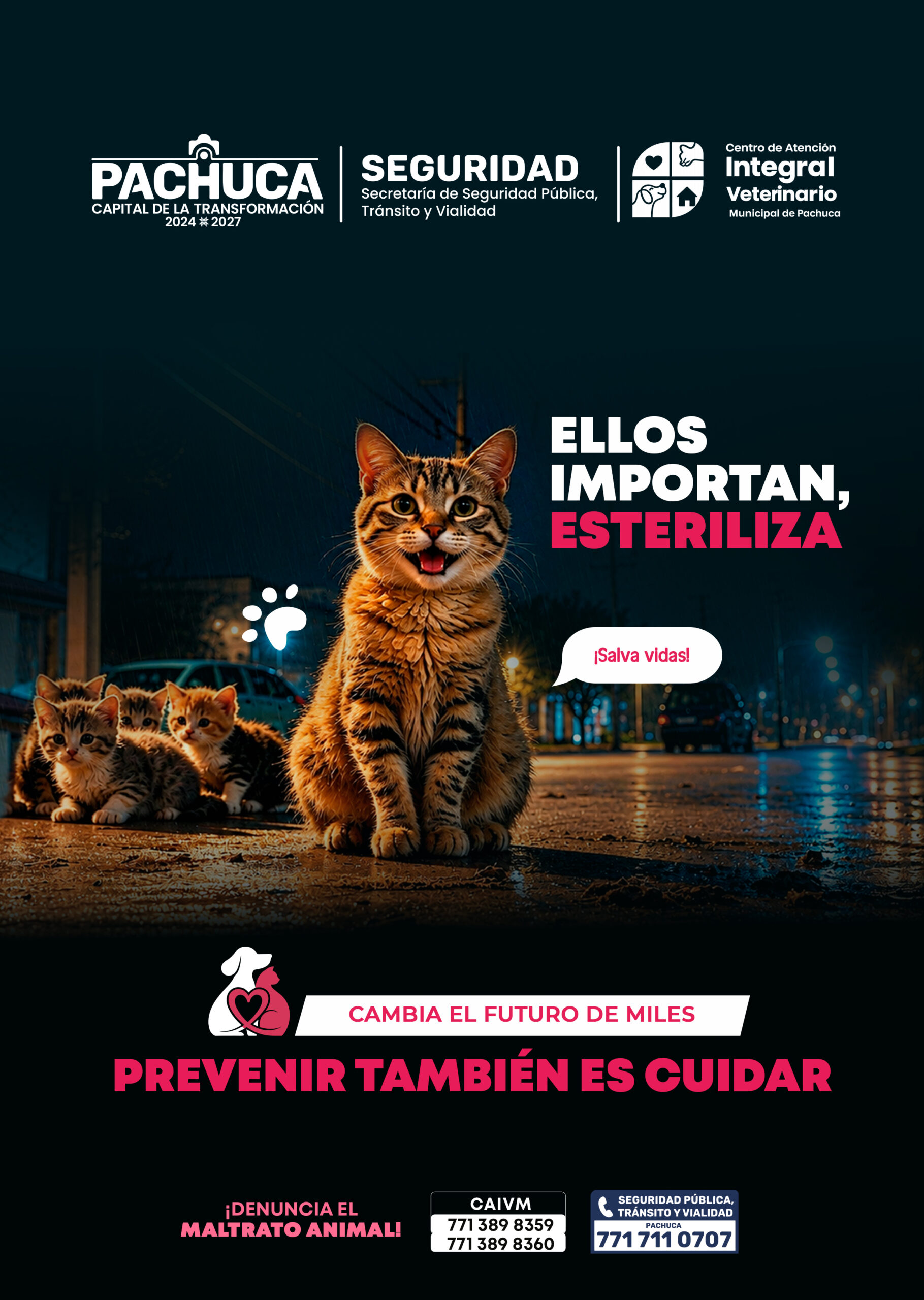 Publicidad