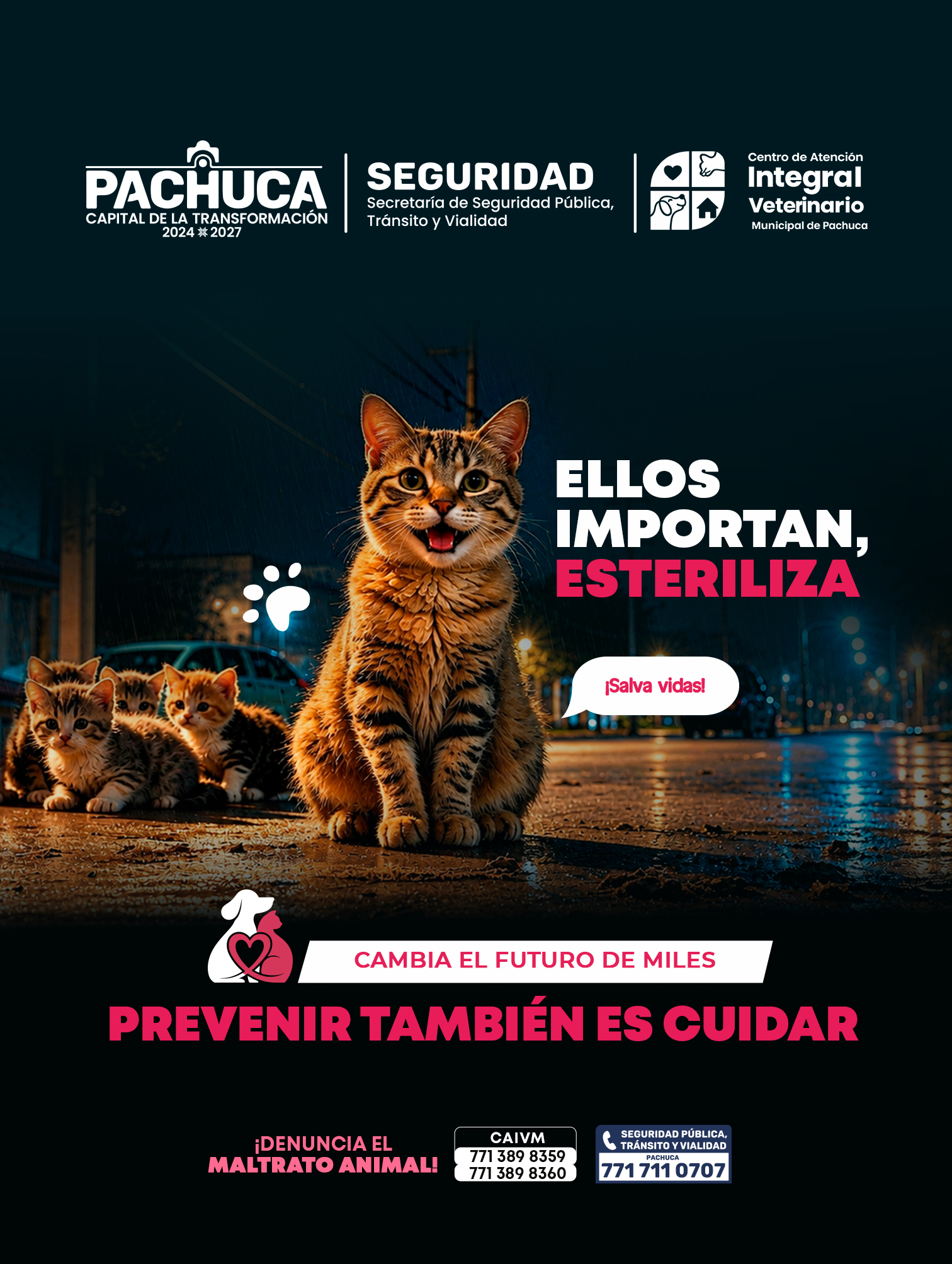 Publicidad
