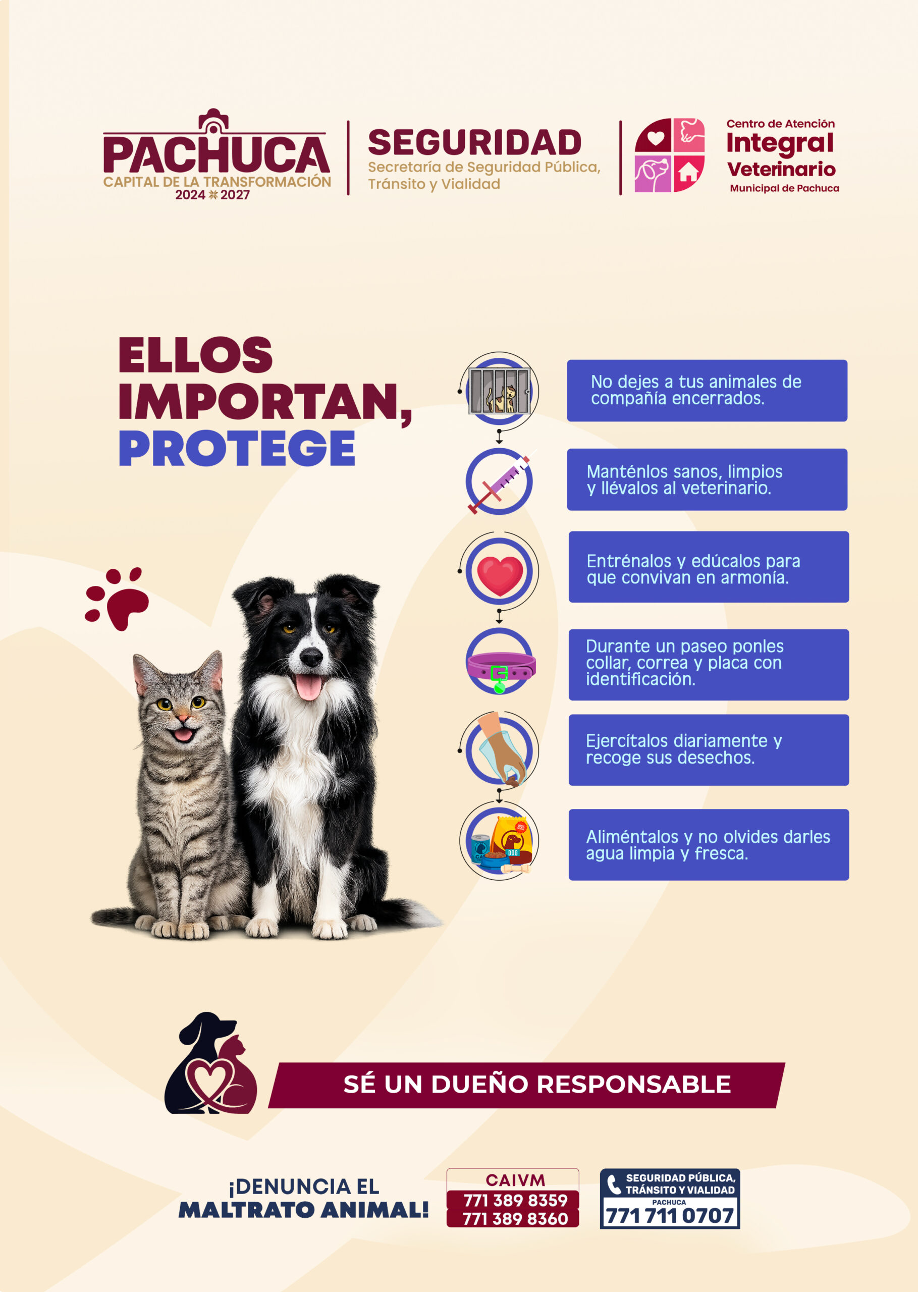 Publicidad